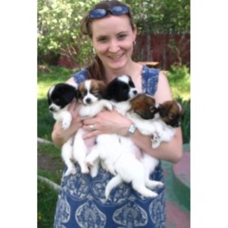 Papillon Breeder in Union, Oregon