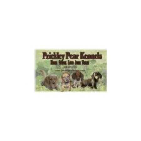 Dachshund Breeder in Fredonia, Texas