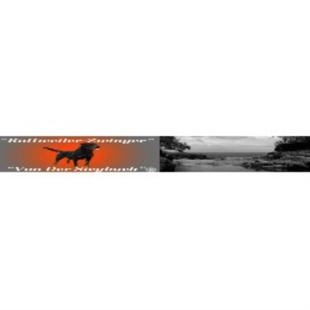 Rottweiler Breeder in Woodbury, Tennessee