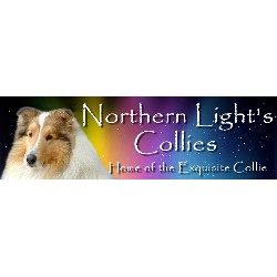 Collie Breeder in Harvey, North Dakota