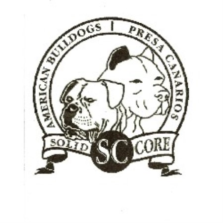American Bulldog Breeder in Decatur, Georgia