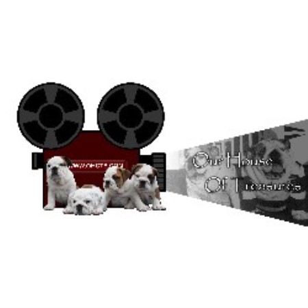 English Bulldog Breeder in Newburgh, New York