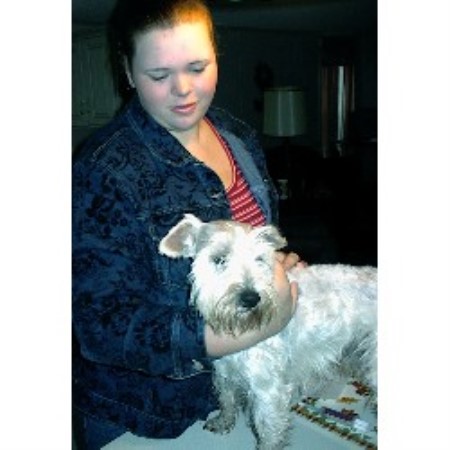 Miniature Schnauzer Breeder in Somerville, Texas