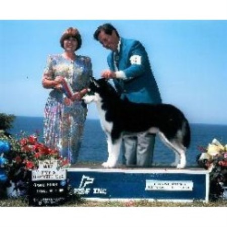 Siberian Husky Breeder in Doylestown, Ohio