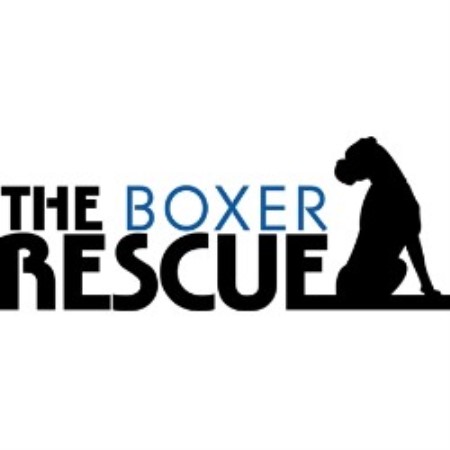 The Boxer Rescue