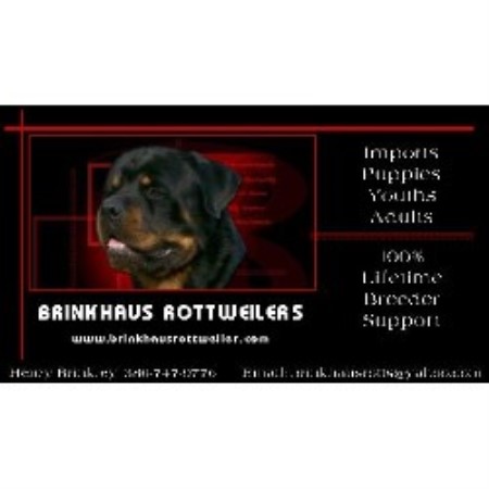 Rottweiler Breeder in Chatsworth, Georgia