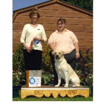 Labrador Retriever Breeder in Palmyra, Maine