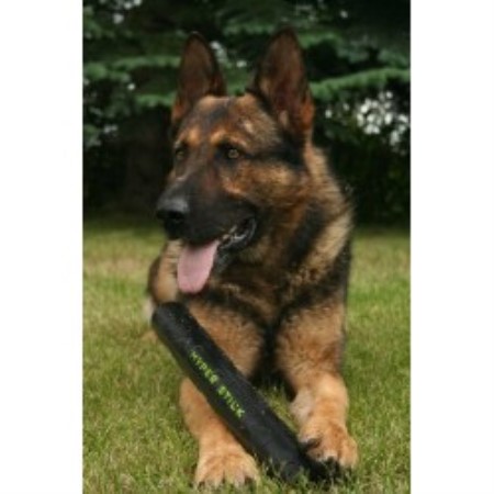 German Shepherd Dog Breeder in Sylvan Lake, Alberta