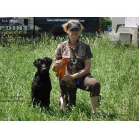 free lab puppies in michigan redstar kennels labrador retriever breeder in hemlock michigan free lab puppies in michigan redstar kennels labrador retriever breeder in hemlock michigan