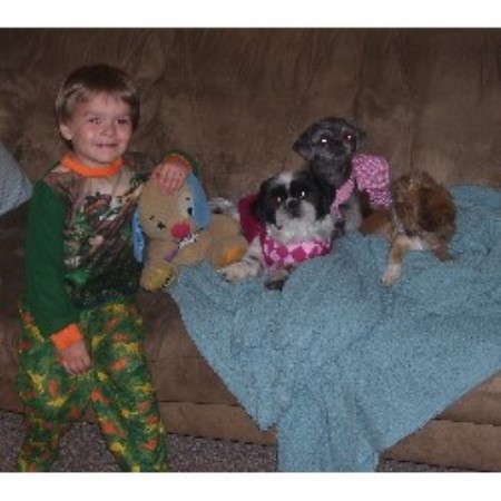 Shih Tzu Breeder in Plumas Lake, California