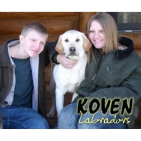 Labrador Retriever Breeder in Neshkoro, Wisconsin