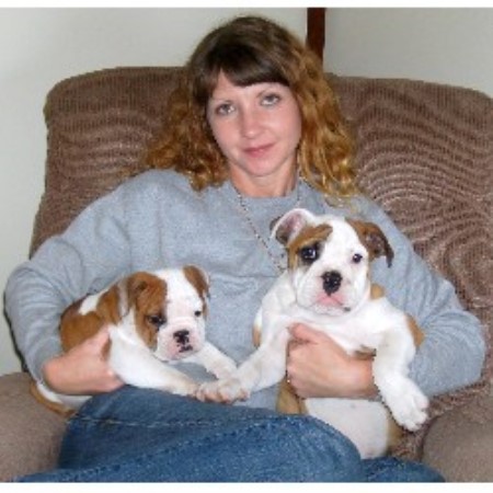 pugs for sale in dakota akc registered pugs puppies for sale quality dakota breeders breeds picture pugs for sale in dakota akc registered pugs puppies for sale quality dakota breeders breeds picture