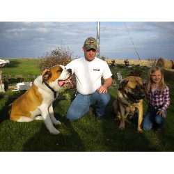 Saint Bernard Stud in Nebraska