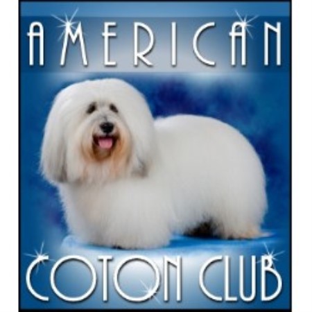 Coton De Tulear Breeder in Colfax, California