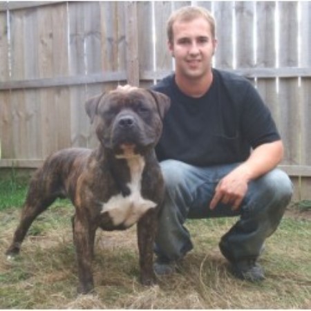 American Pit Bull Terrier Breeder in Paw Paw, Michigan
