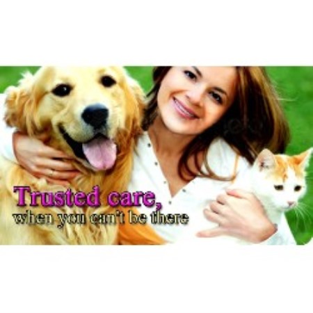 Canaan Dog Breeder in Wellington, Florida