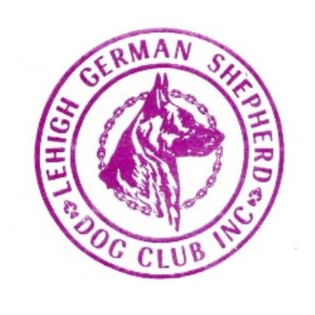 LGSDC CLub logo