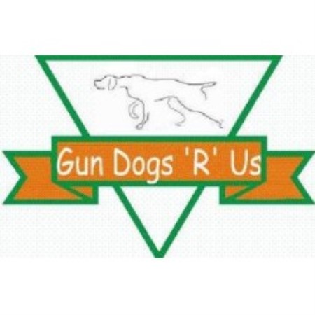 German Shorthaired Pointer Breeder in Peyton, Colorado