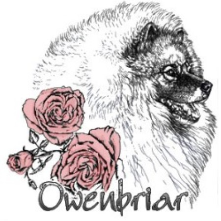 Keeshond Breeder in Owen Sound, Ontario