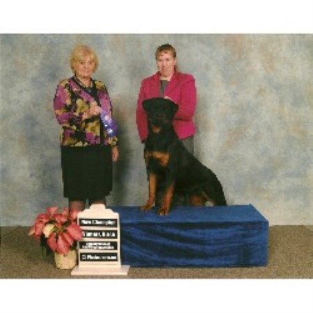 Rottweiler Breeder in Redwater, Alberta
