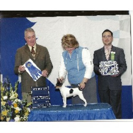 Toy Fox Terrier Breeder in Marysville, California
