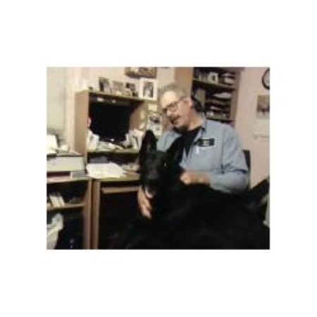 German Shepherd Dog Breeder in Nova, Ohio