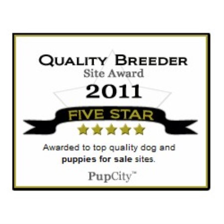 Chinese Shar Pei Breeder in Concord, California