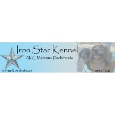 Dachshund Breeder in Bastrop, Texas