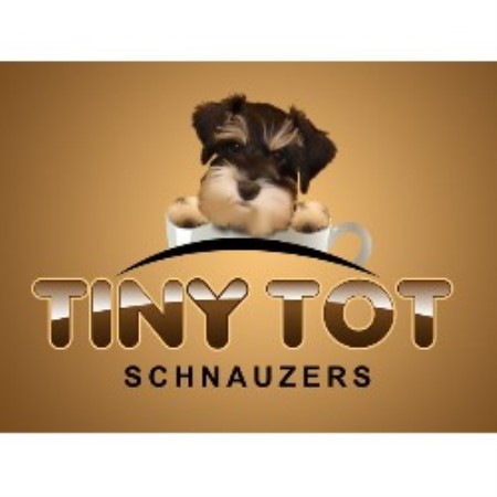 Miniature Schnauzer Breeder in Dallas, Georgia