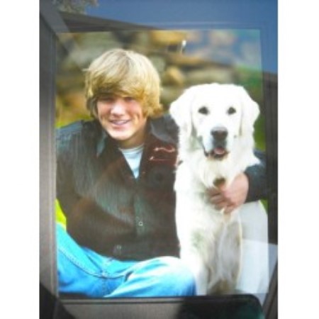 auburn golden retriever northernlightgoldens golden retriever breeder in auburn california listing id 18764 auburn golden retriever northernlightgoldens golden retriever breeder in auburn california listing id 18764