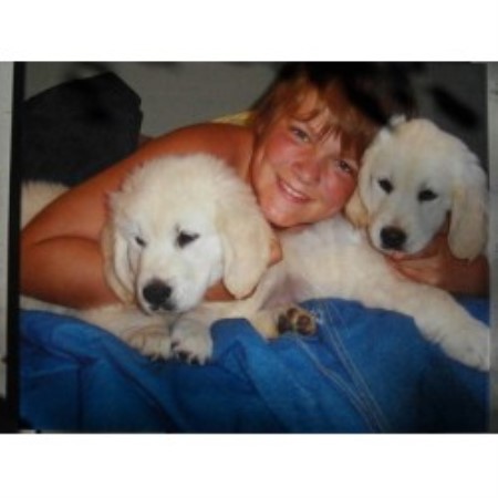 golden retriever breeders ca northernlightgoldens golden retriever breeder in auburn california listing id 18764 golden retriever breeders ca northernlightgoldens golden retriever breeder in auburn california listing id 18764