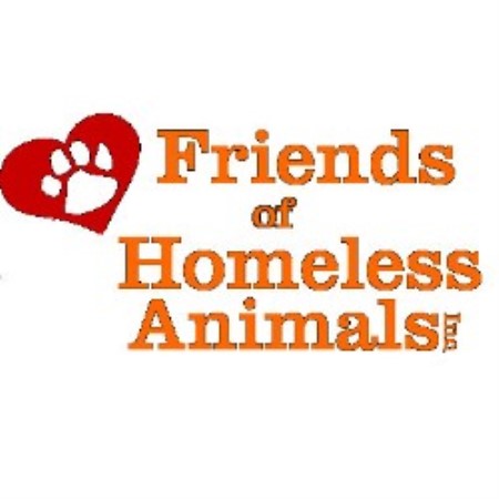 Rescuing Small Dogs with Big Hearts