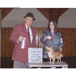Chihuahua Breeder in Merced, California