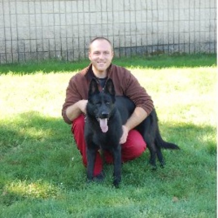 German Shepherd Dog Breeder in Stratford, Connecticut