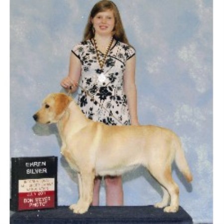 Labrador Retriever Breeder in Crewe, Virginia