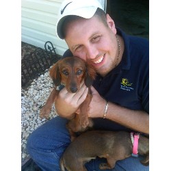 Dachshund Stud in New Jersey