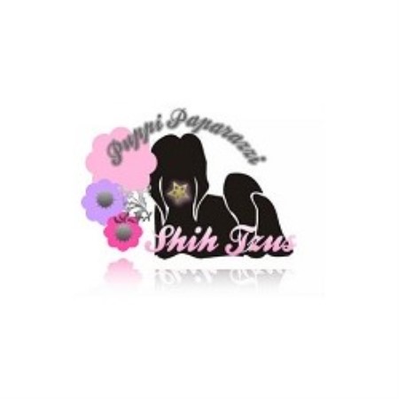 Shih Tzu Breeder in Berwick, Pennsylvania