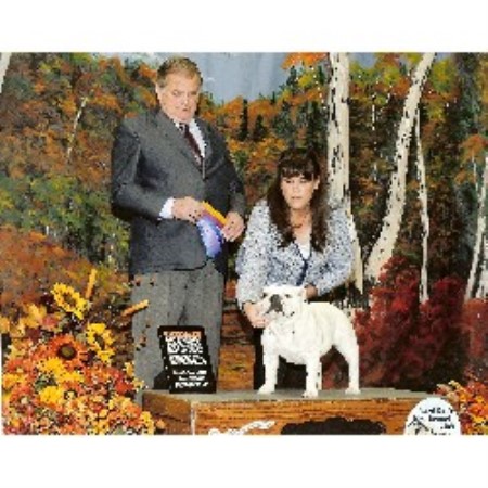 English Bulldog Breeder in Kuna, Idaho