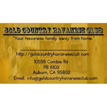 Gold Country Havanese Club and Rescue