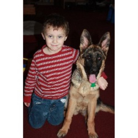 German Shepherd Dog Breeder in Carroll, Nebraska