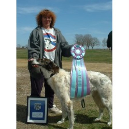Borzoi Breeder in Cockeysville, Maryland