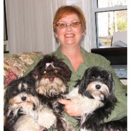 havanese breeder ontario breeders dog