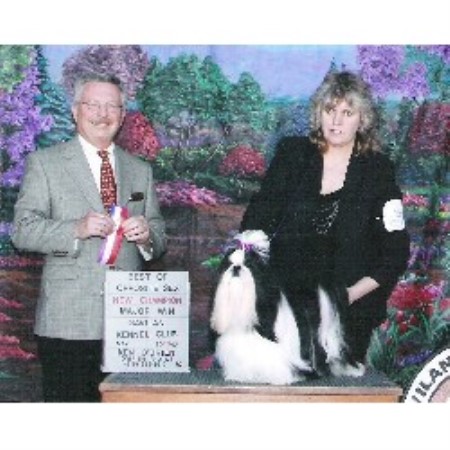 shih tzu puppies reno cyn lu shih tzu s shih tzu breeder in reno nevada listing id 21139 shih tzu puppies reno cyn lu shih tzu s shih tzu breeder in reno nevada listing id 21139