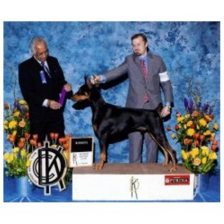 Doberman Pinscher breeder Gardners 21413