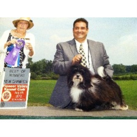 Havanese breeder West Nyack 21570
