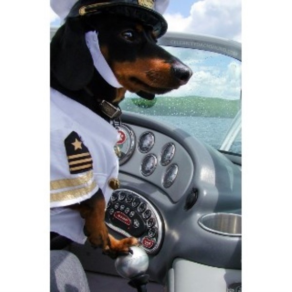 Wild Rose Kennel, Dachshund Breeder in Ainsworth, Iowa