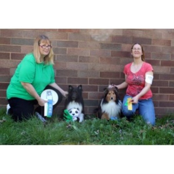rottweiler puppies for sale in charleston wv ashlaur shelties shetland sheepdog stud in charleston west virginia rottweiler puppies for sale in charleston wv ashlaur shelties shetland sheepdog stud in charleston west virginia