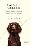 Irish Setter thumbnail