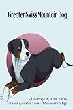 Greater Swiss Mountain Dog: Amazing & Fun Facts About Greater Swiss Mountain Dog: Greater Swiss Mountain Dog Breed Complete Guide