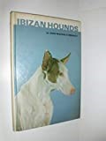 Ibizan Hounds/Kw-060